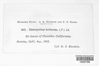 Image Associated With the Occurence